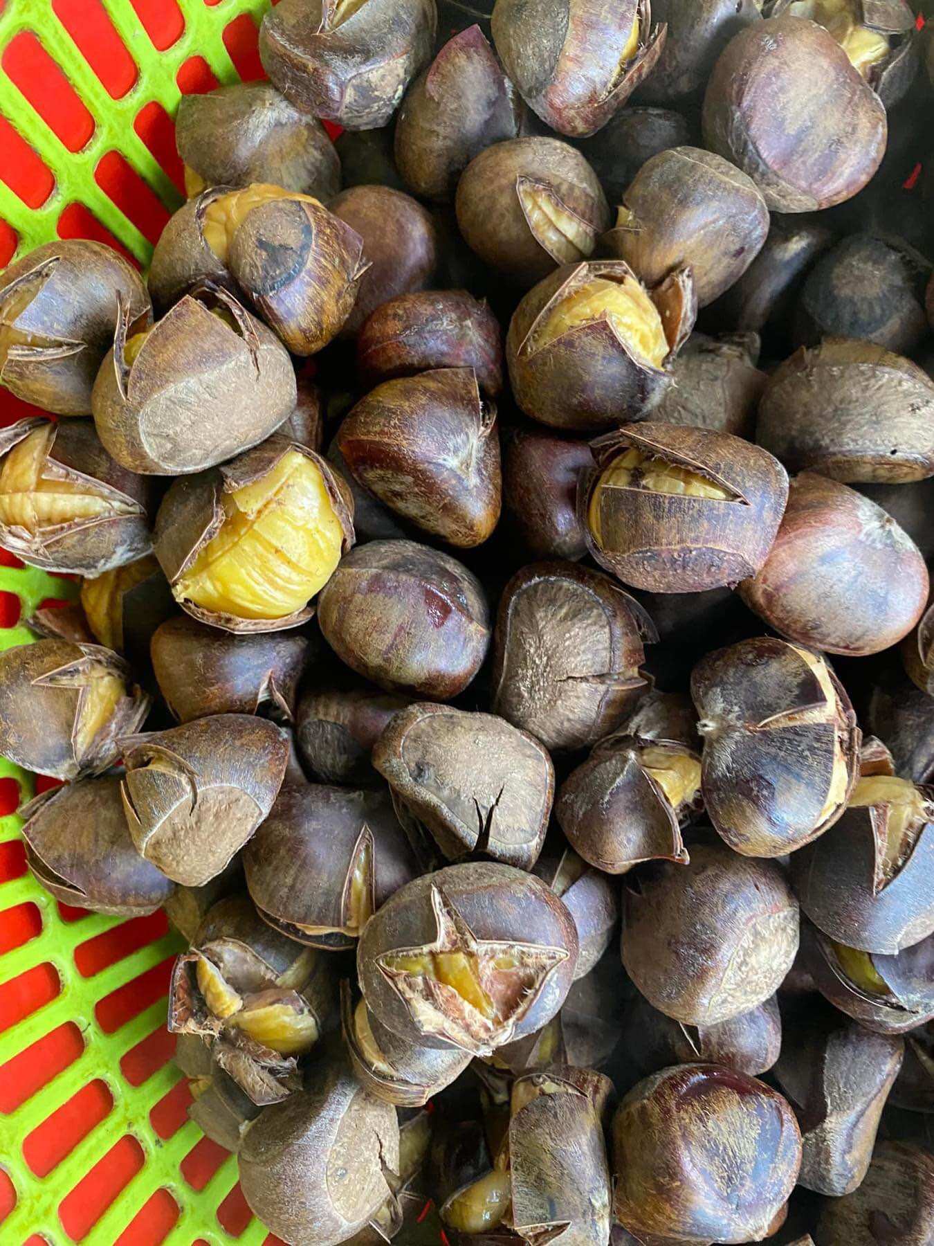 1kg Hạt Dẻ tươi Cao Bằng (cơm vàng, bùi, ngọt, béo)