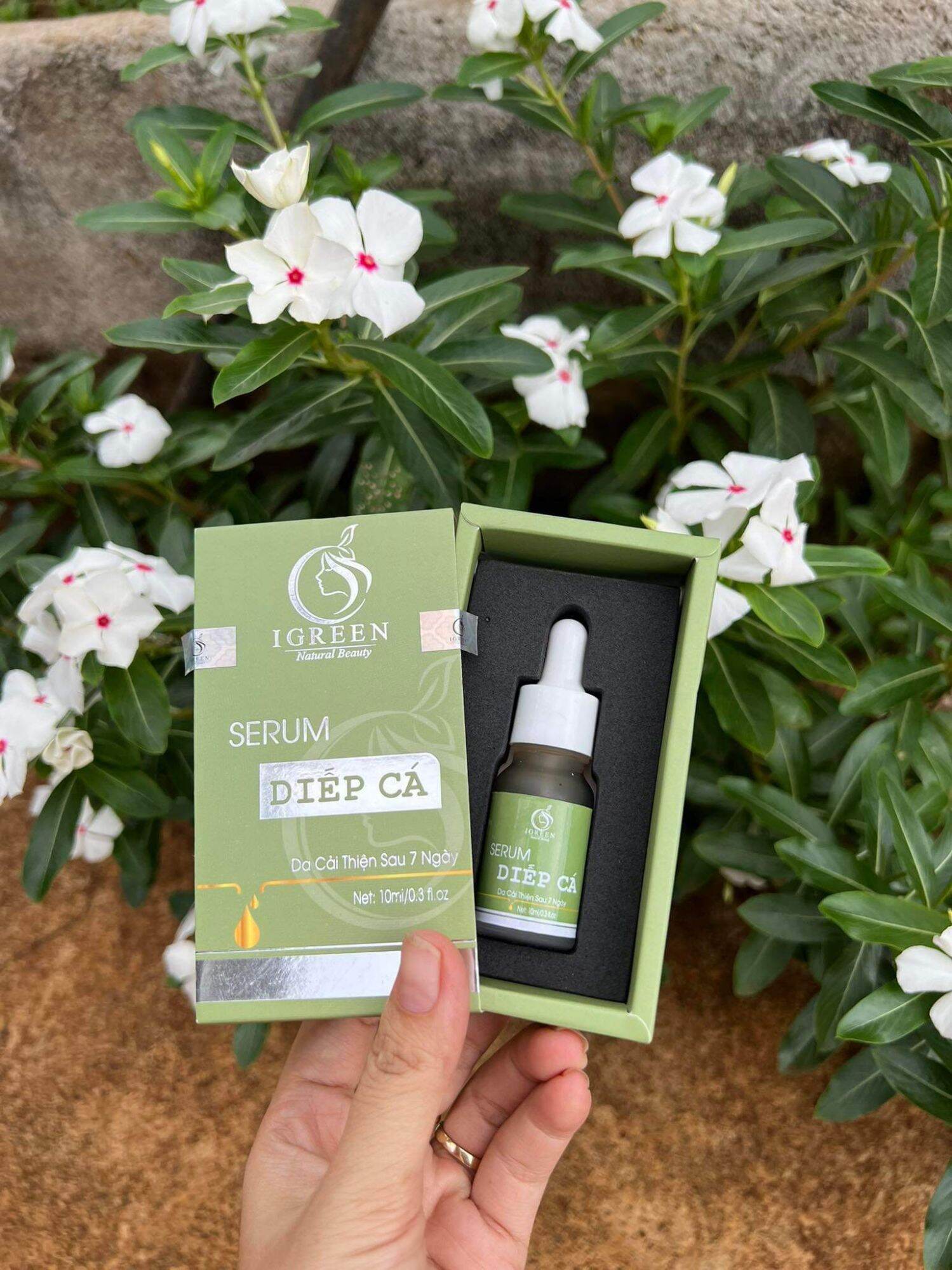Serum Diếp Cá igreen (chính hãng )