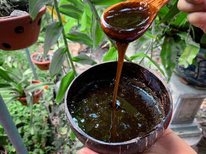 Dầu gội đầu Bồ Kết