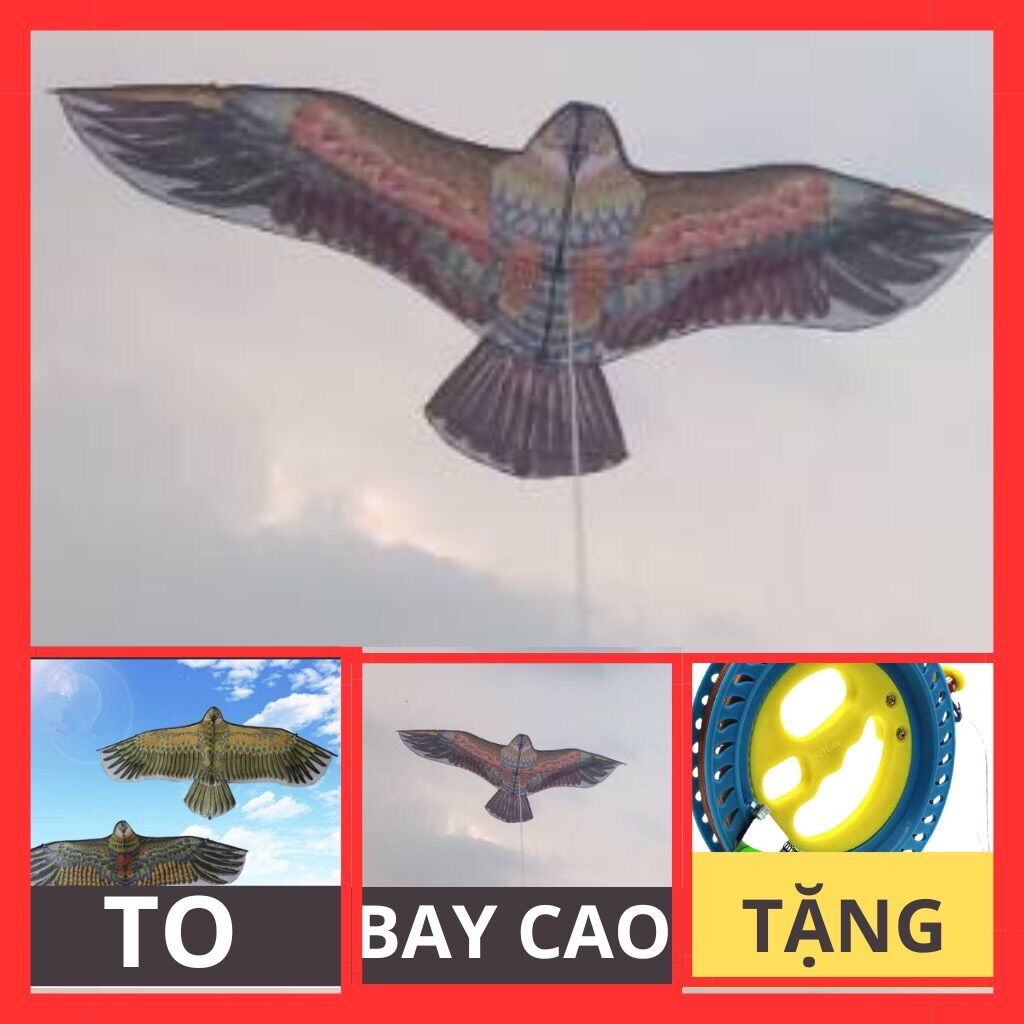 Diều, diều đại bàng, 1.3 mét