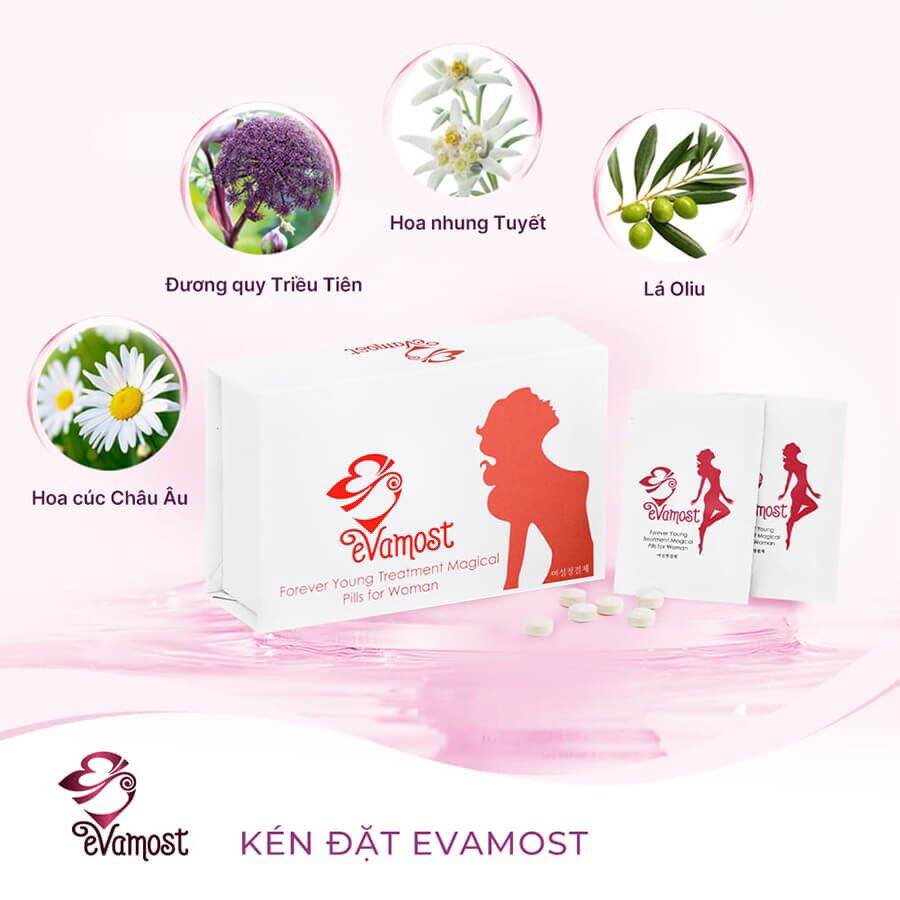 [Hcm]Kén Đặt Hồi Xuân Evamost