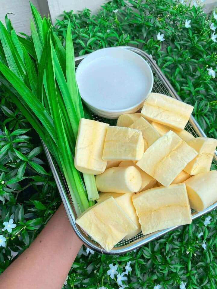 Sét 4kg Khoai mì Vàng giống Thái