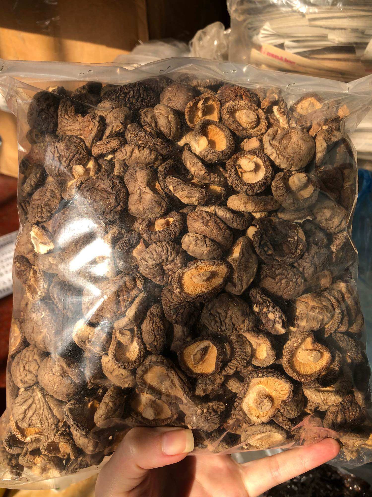 Nấm hương