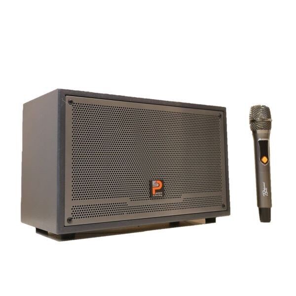 Loa karaoke xách tay Prosing W8 Silver-E (Bass 20cm, 100W, Kèm micro, Pin 3-6h)