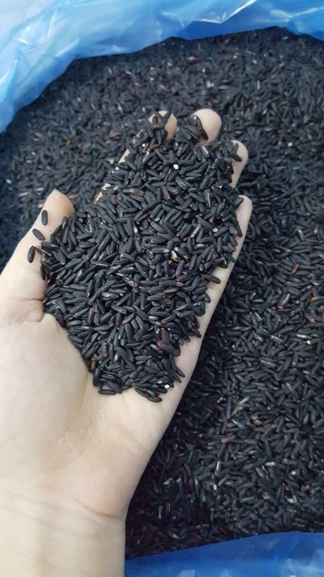 GẠO TÍM THẢO DƯỢC còn gọi là GẠO ĐEN-GẠO HOÀNG ĐẾ gói/3kg