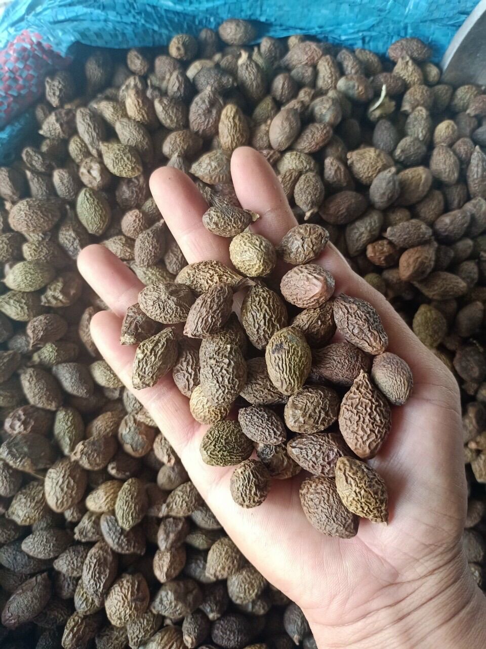 100 gram = 50 hạt ươi bay to đều, chuẩn từng hạt