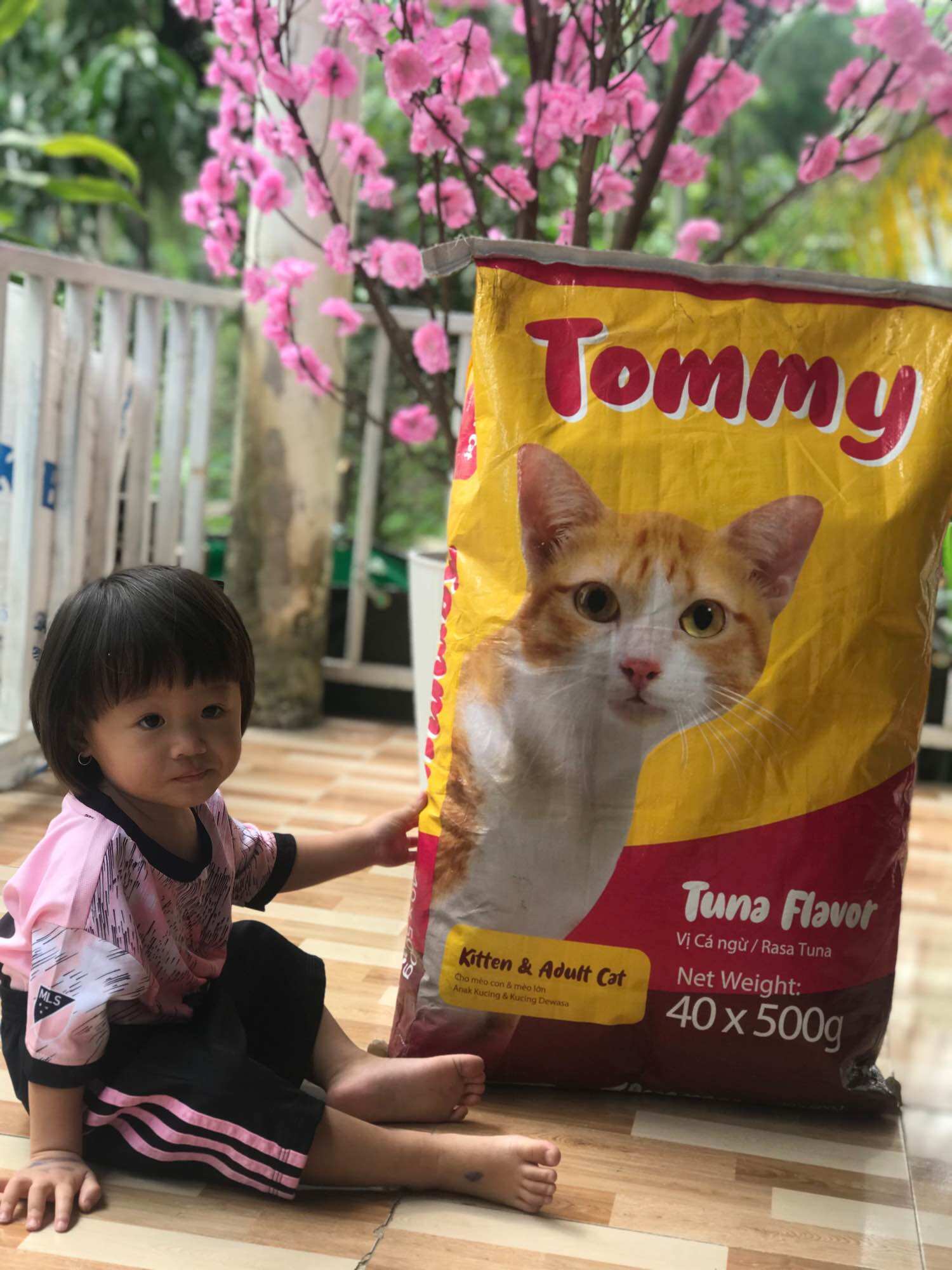 THỨC ĂN CHO MÈO TOMMY mọi lứa tuổi (500g)