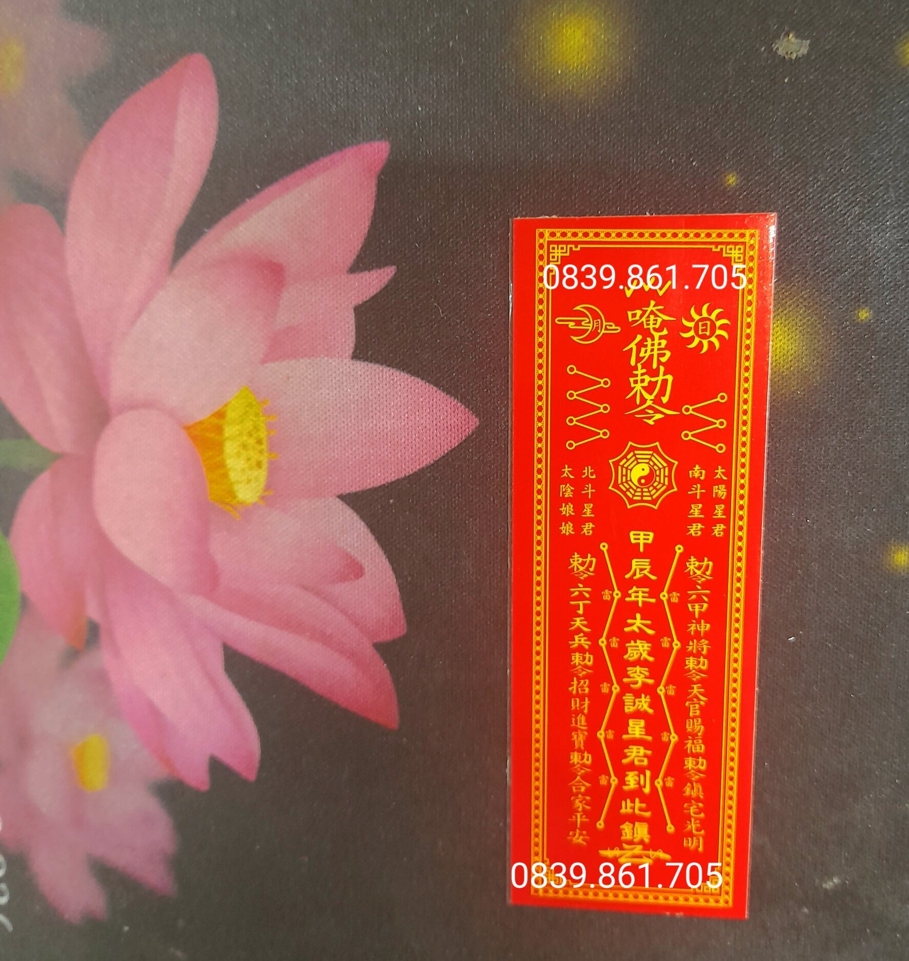 Phù thái tuế 2024