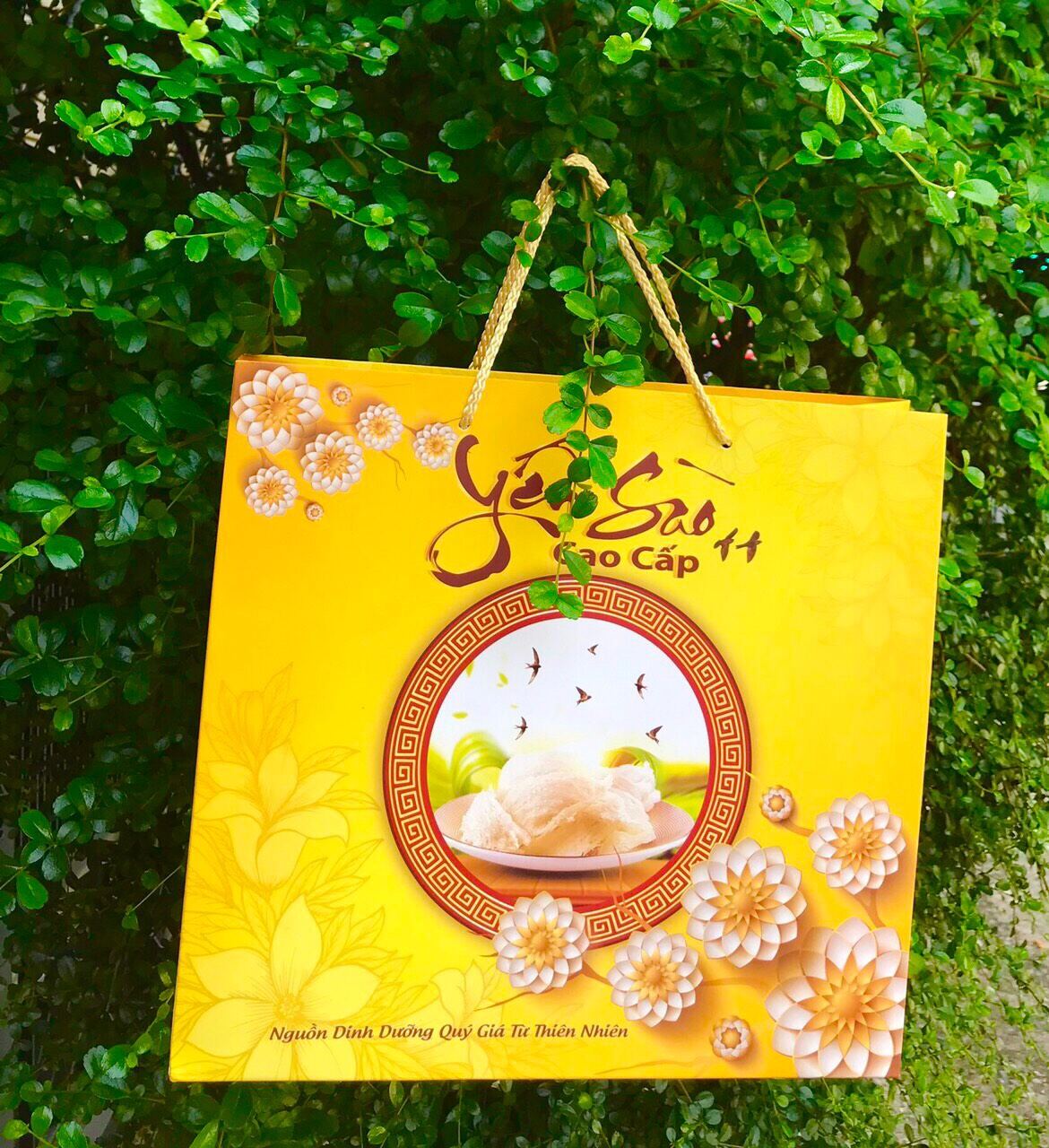 TÚI GIẤY ĐỰNG YẾN SÀO 100 gr(KHÔNG ÉP KIM )