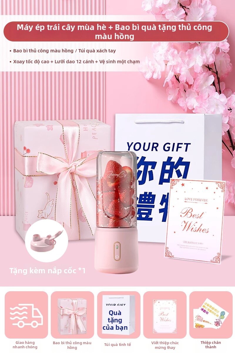 High-End Practical Rare Gift Juice Maker - 5