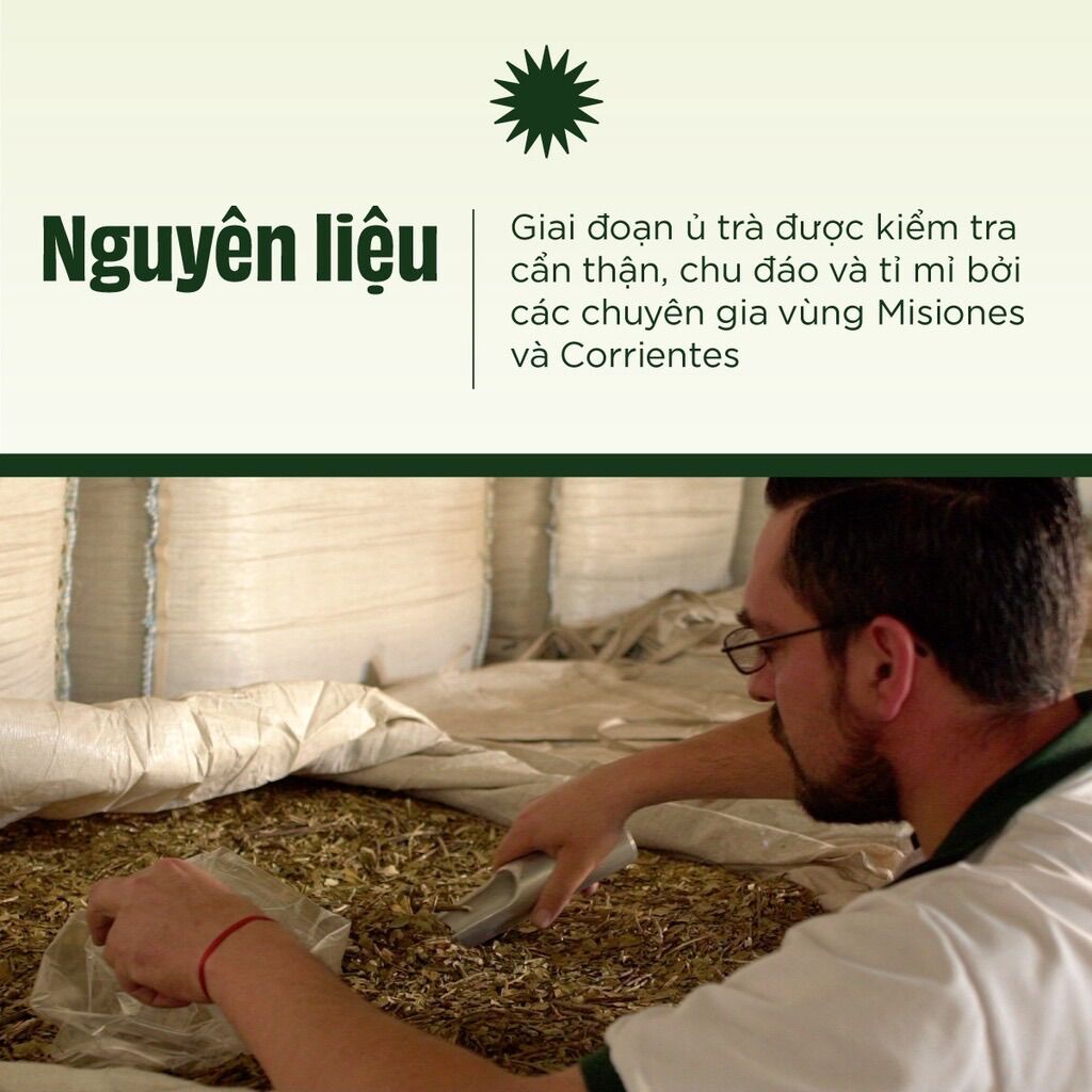 Trà Yerba Maté dạng túi lọc 20 gói