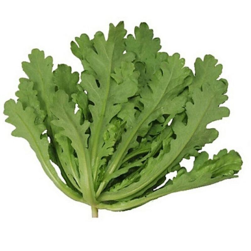 10 GR HẠT GIỐNG CẢI CÚC NẾP LÁ TO