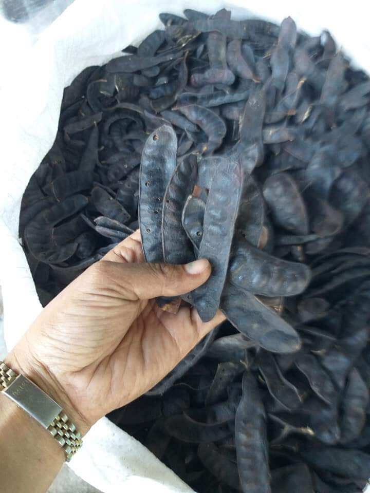 Quả bồ kết khô 1kg