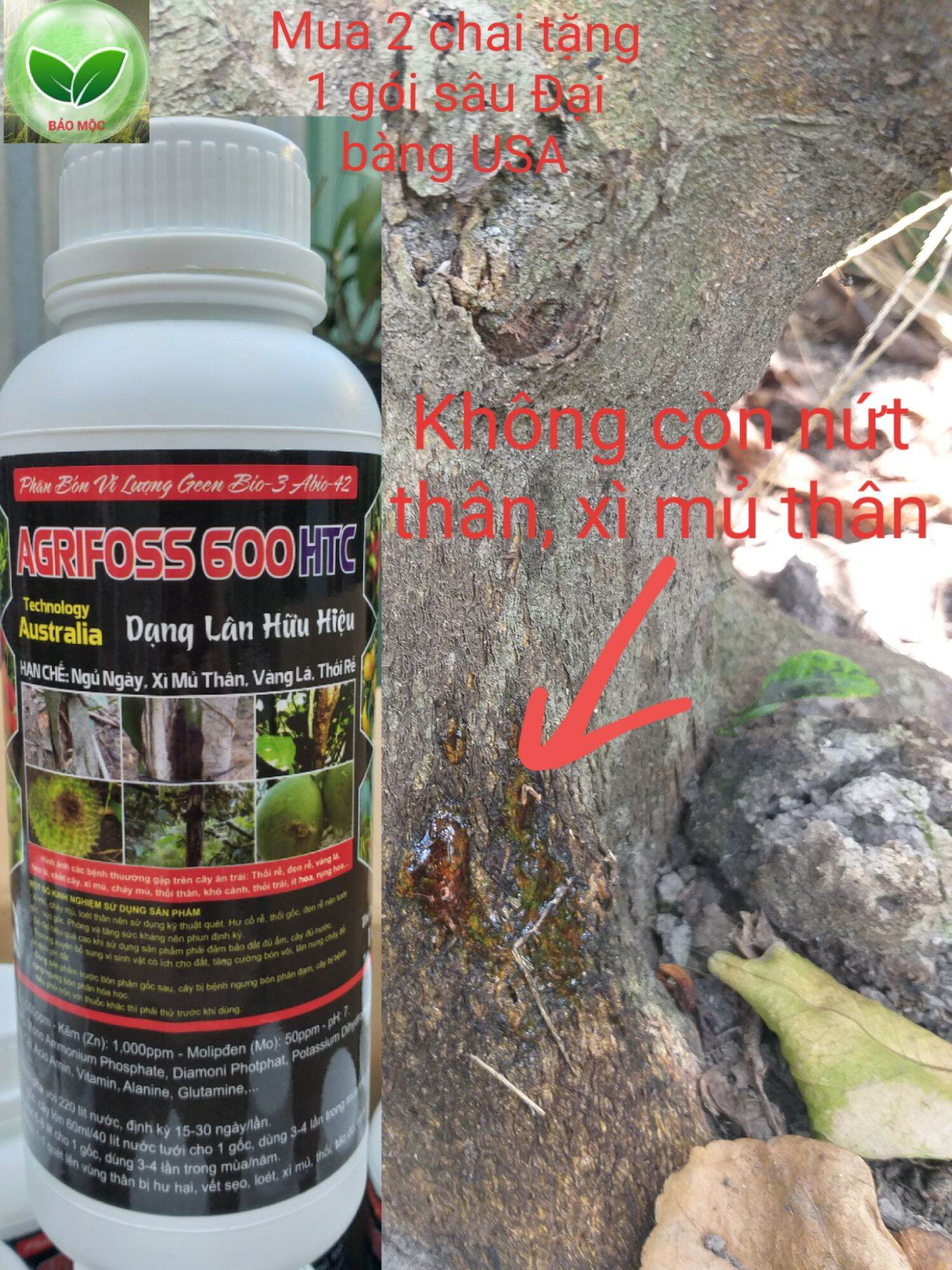 Sản phẩm trừ bệnh nứt thân - xì mũ - vàng lá - thối rễ - khô cành