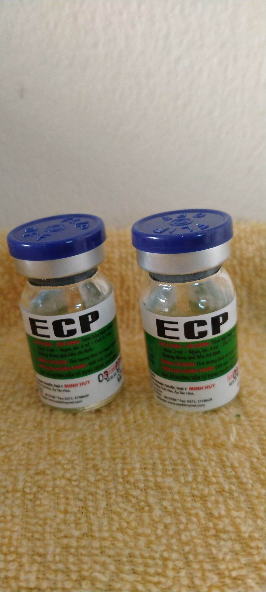 chó mèo lên giống, chịu đực, mau đậu thai ECP 2lọ