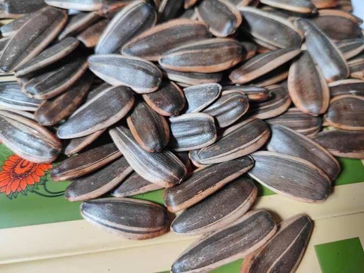 100gr hạt hướng dương