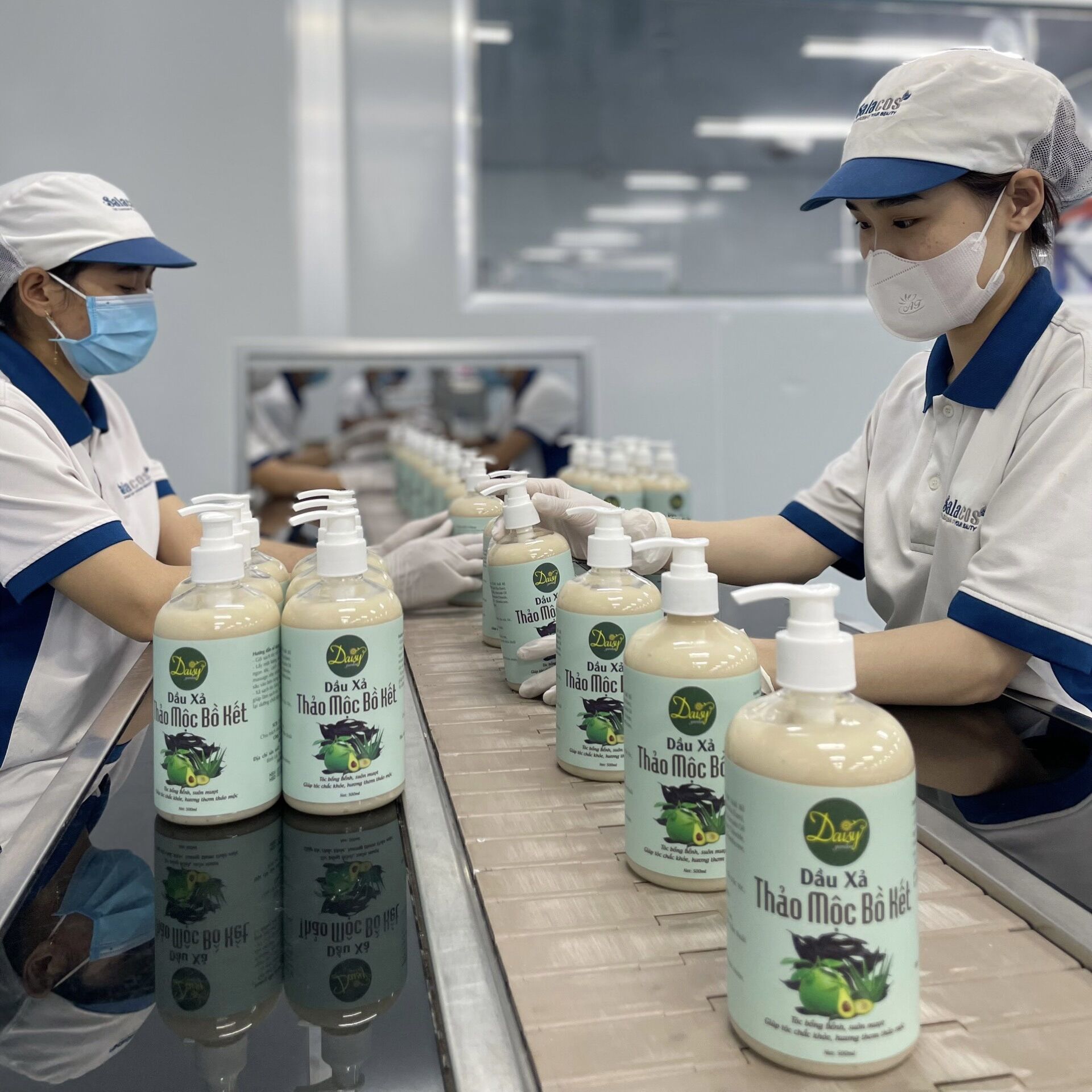 Dầu xả thảo mộc bồ kết Daisy Garden