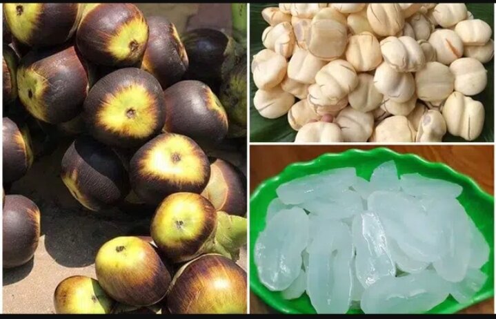 Thốt Nốt Tươi - Đặc Sản An Giang - 1kg