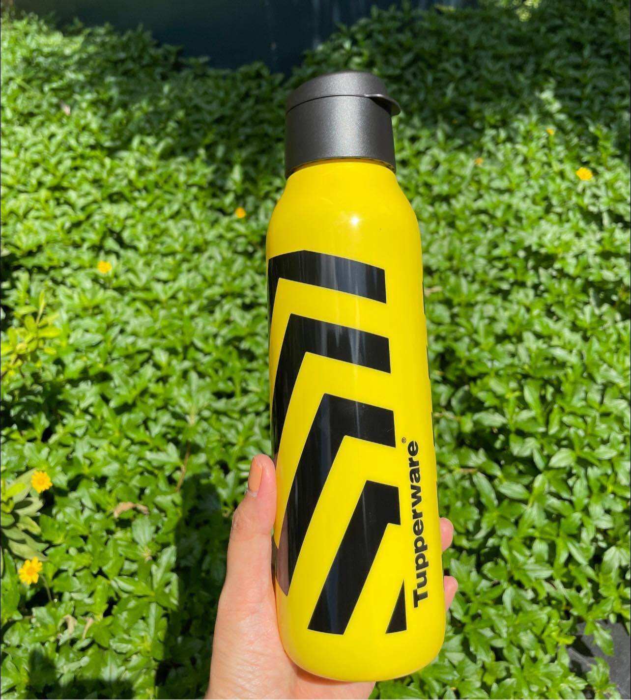[HCM]Bình Nước Tupperware Eco Bottle Fancy 750ml