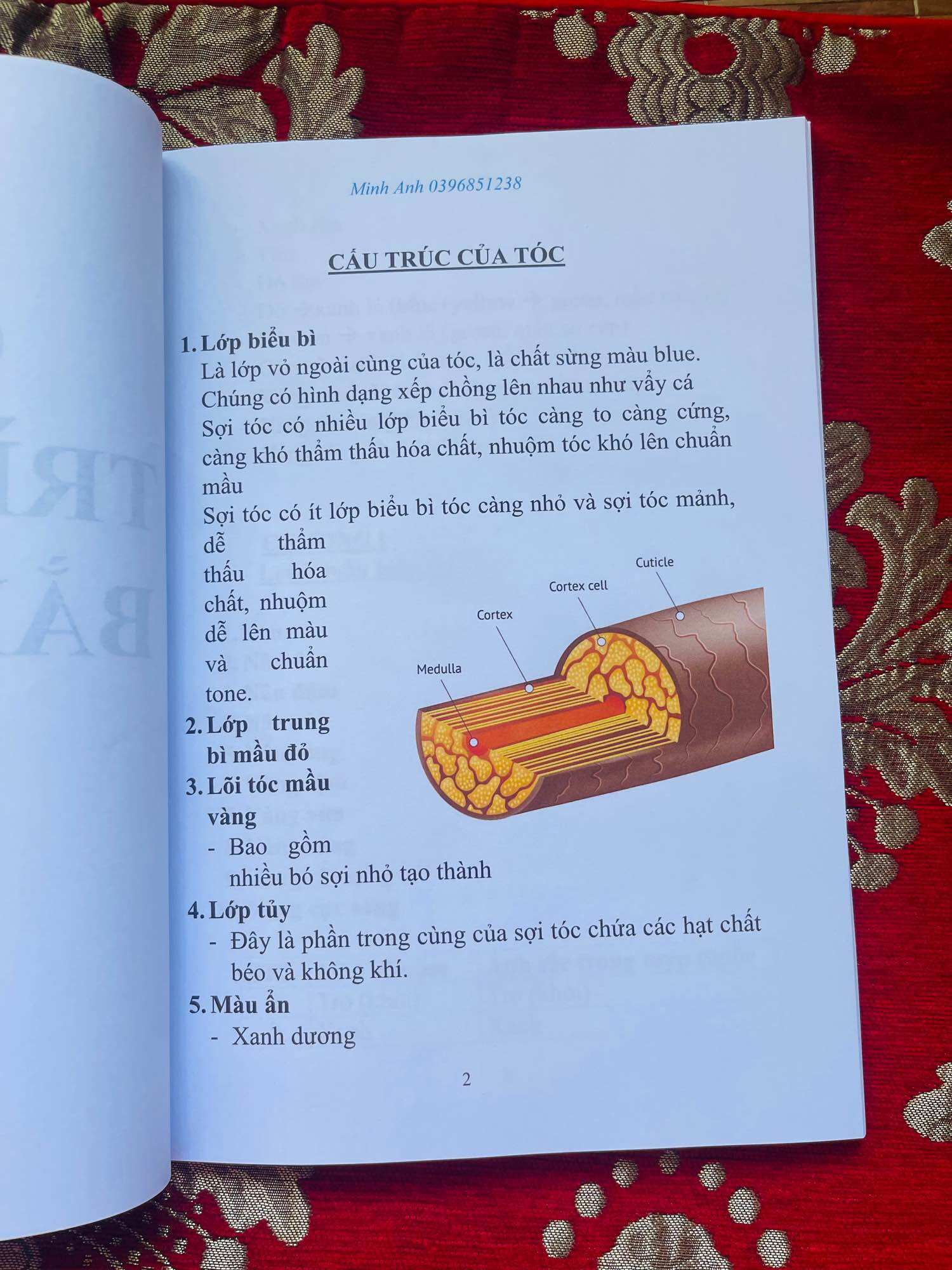 GIÁO TRÌNH CÂN BẰNG MÀU TÓC