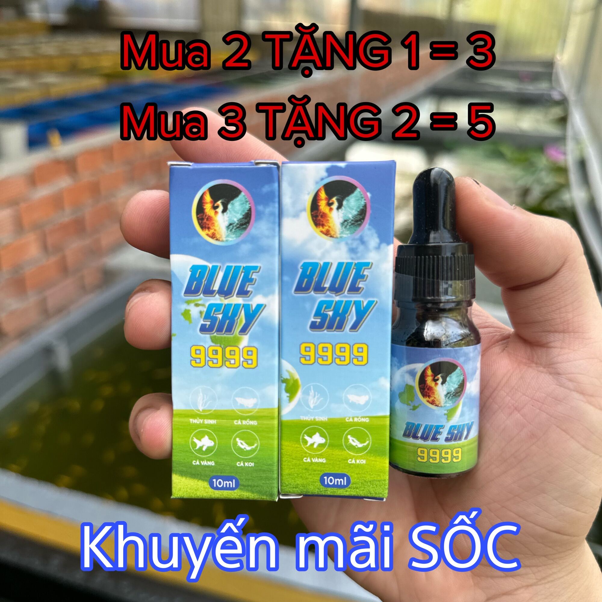 Blue Sky 9999 10ml. Combo ”Mua 2 tặng 1 - Mua 3 tặng 2” Dưỡng cá, nấm, túm lắc.