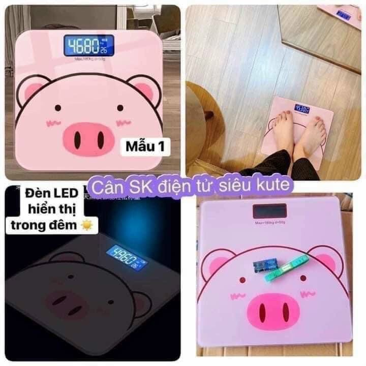 —- Cân sức khoẻ -heo hồng