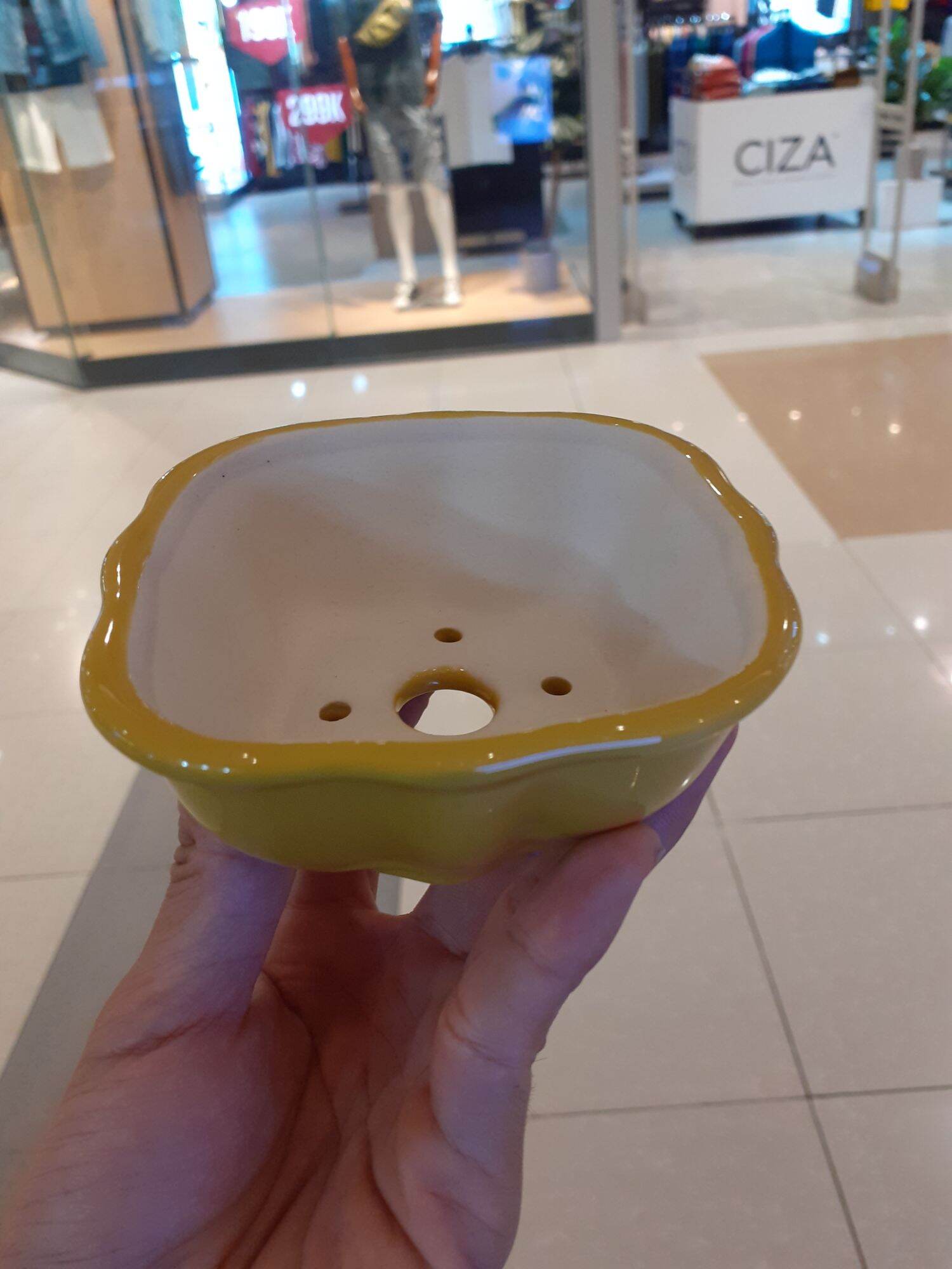 Chậu bon sai mini