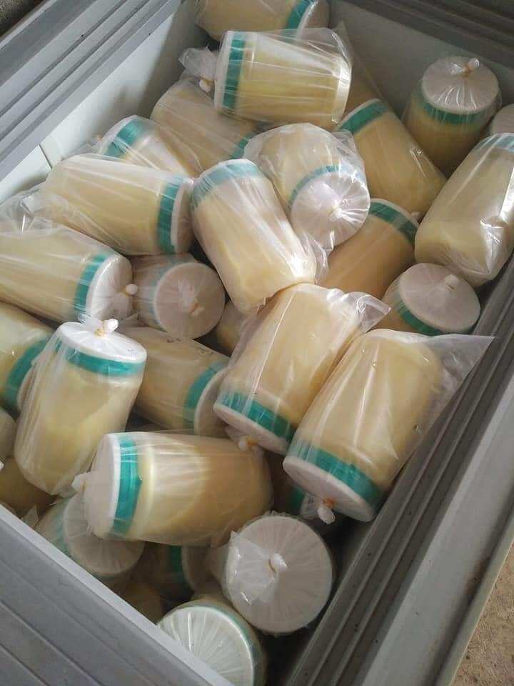 SỮA ONG CHÚA TƯƠI NGUYÊN CHẤT 100% (LỌ 100GR)