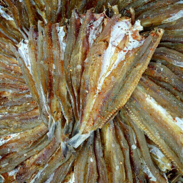 1 kg KHÔ CÁ MỐI ĐƯỜNG