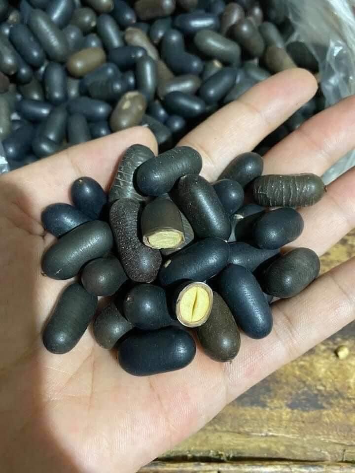 Hạt đỗ rừng gói 1kg