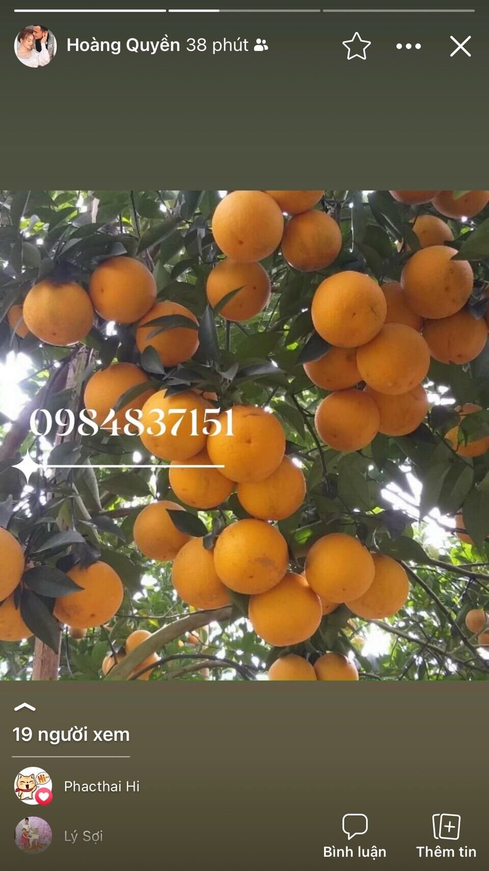thuốc trừ nhện Detect 500sc chai 240ml
