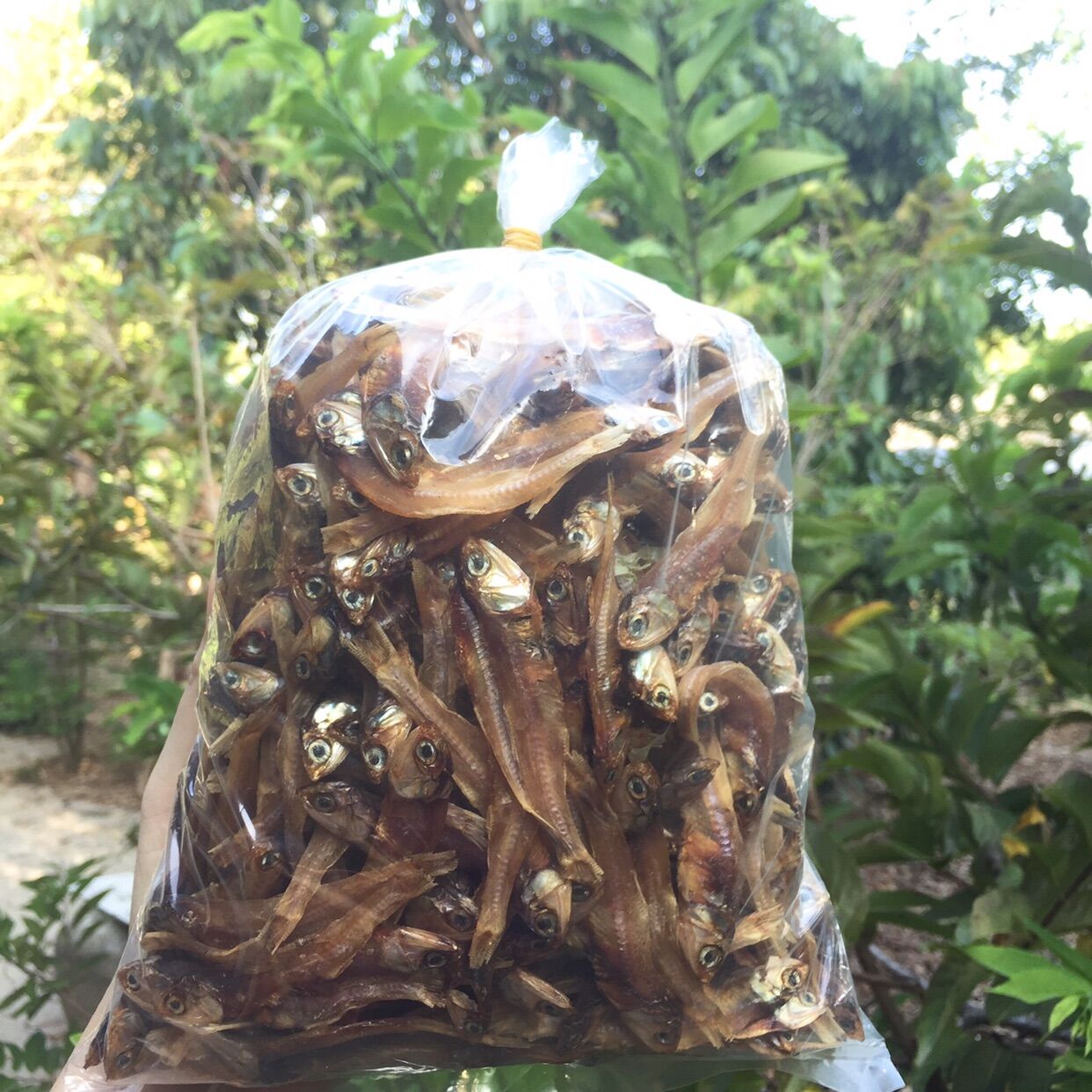500g cá cơm khô nhà làm cực sạch - Đặc sản Huế