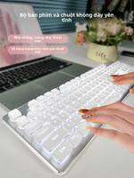 Microstep | Bộ Bàn Phím và Chuột Không Dây Đẹp Mắt, Cảm Giác Cơ Học, Sạc Điện, Dành cho Phụ Nữ Làm Việc Văn Phòng