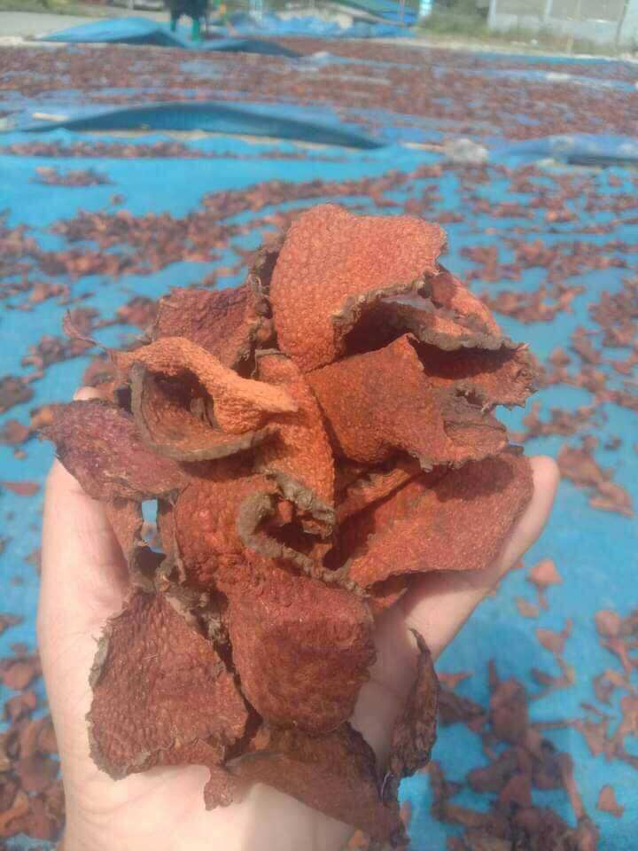 Nhục thung dung nam khô 220k/kg