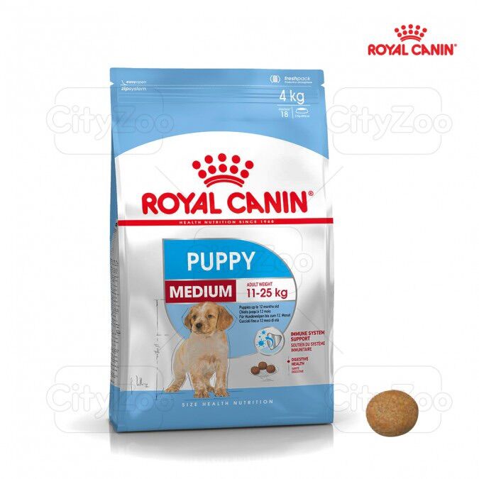 Thức ăn hạt cho chó con Royal Canin Medium Puppy 10kg