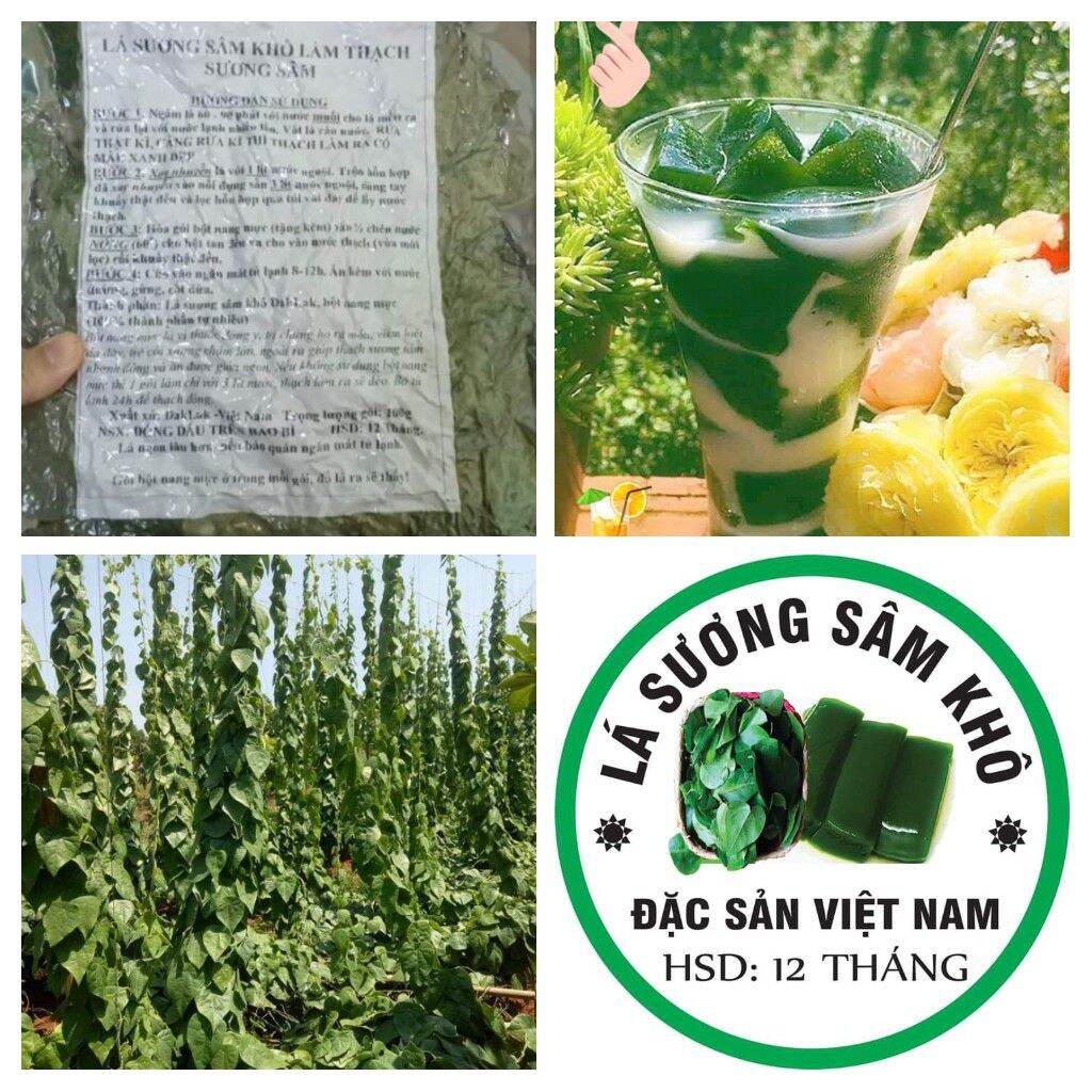 Lá sương sâm khô