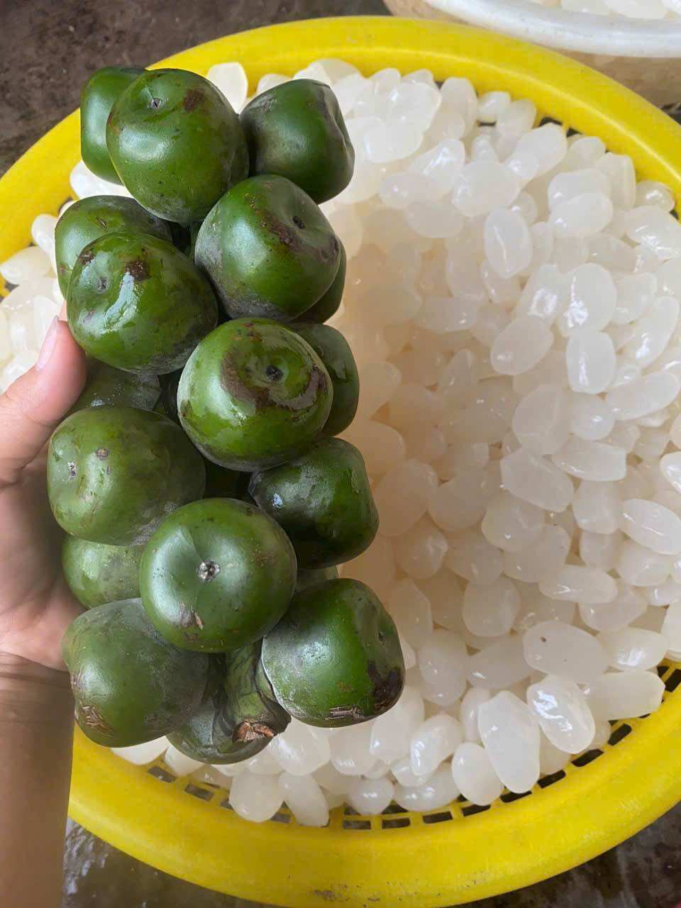 1kg Hạt Đác Tươi Nha Trang Size Trung Mềm Dẻo Không Cứng( Có Hút Chân không)