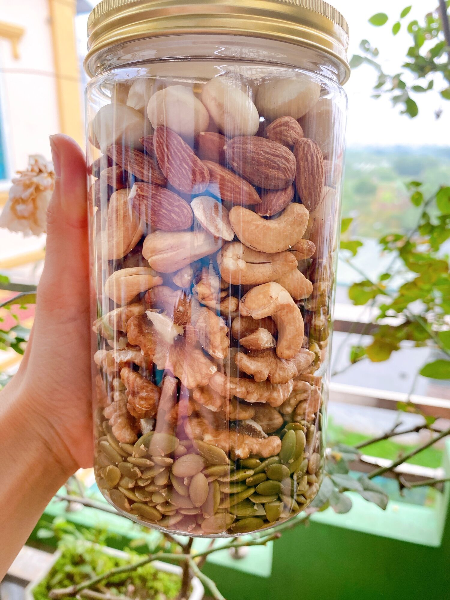 Hạt Mix cao cấp 5 loại hạt