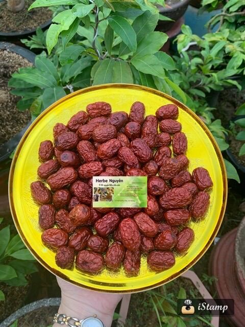 Táo đỏ khô loại 1- 100g