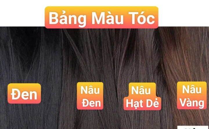 TÓC GIẢ NGUYÊN ĐẦU XOĂN SÓNG HIPPIE S091