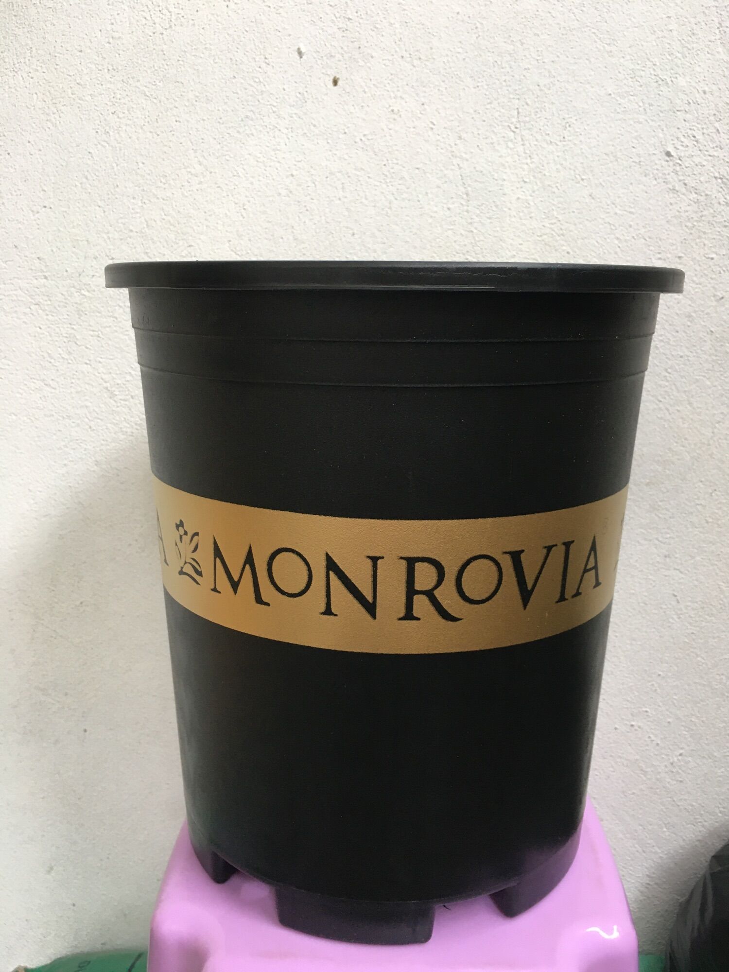 Chậu trồng cây Monrovia chậu hoa hồng 2 Gallon