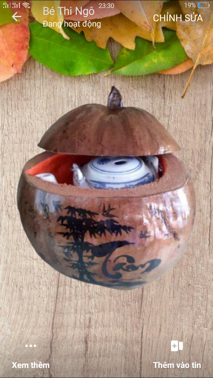 bình ủ giữ ấm bình trà kèm ấm tích