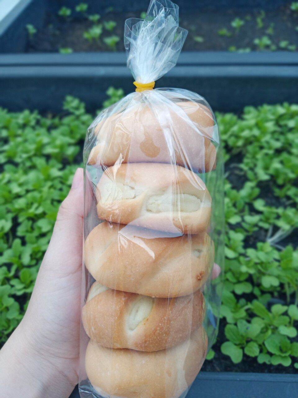 Bánh xe dừa _combo 3 cây