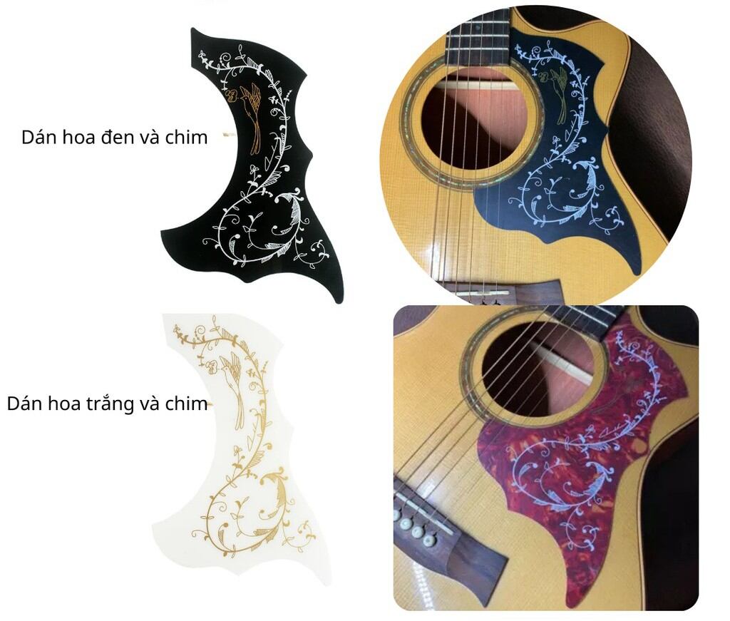 dán chống xước đàn guitar  classic và acoustic