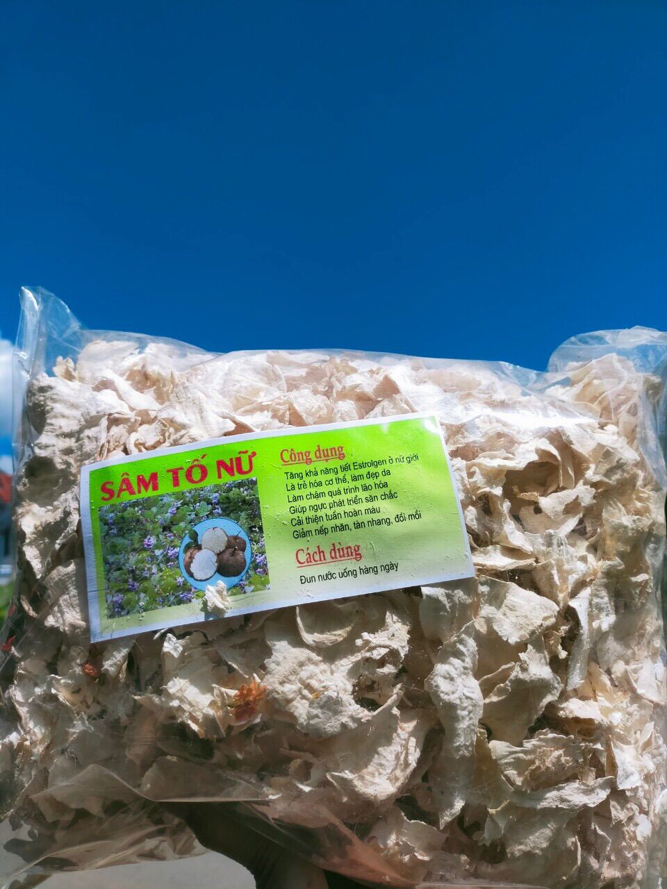 Sâm tố nữ thái lát phơi khô