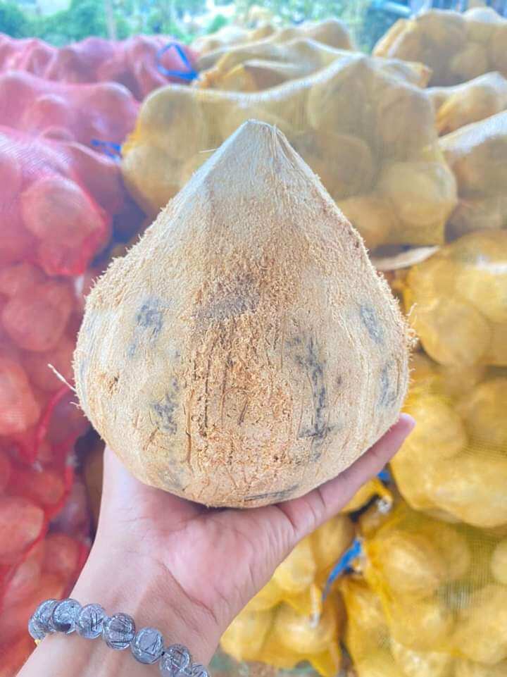 1 quả dừa khô lột sẵn