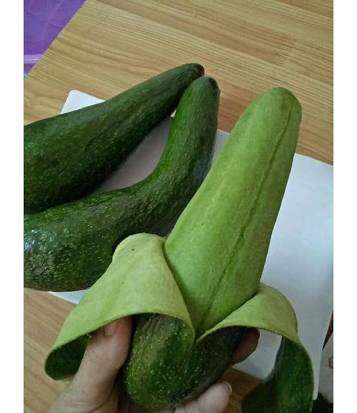 3kg bơ 034 chỉ gửi miền nam + miền trung