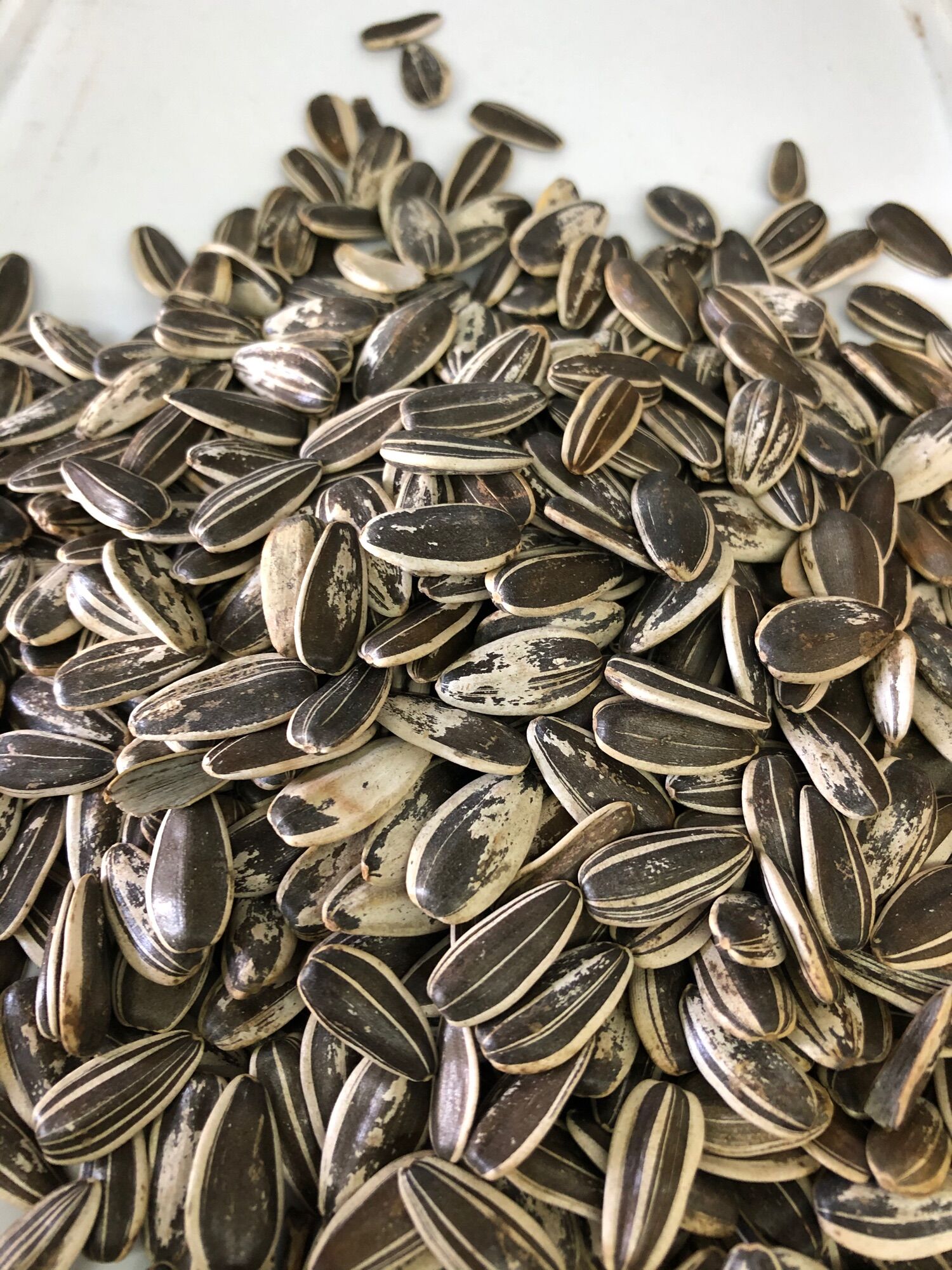 Hướng dương sọc lớn gói 500g - 1 kg
