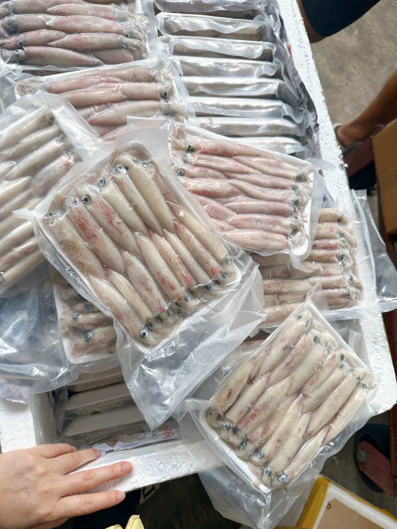 Mực sữa nháy Phan Thiết tươi ngon 500g