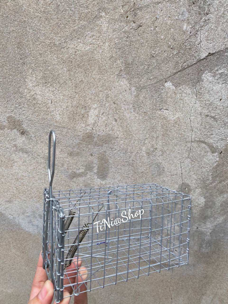 Combo 10 Bẫy Chuột Đồng 8x8x15cm
